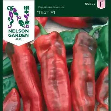 Huvudbild för Paprika Thor F1