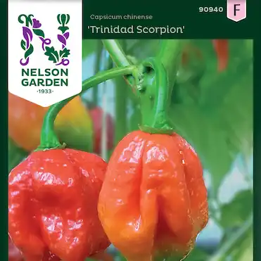 Huvudbild för Chilipeppar Trinidad Scorpion